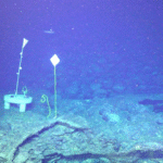Axial Seamount Is About to Erupt – And What’s Happening Down There Is TERRIFYING!