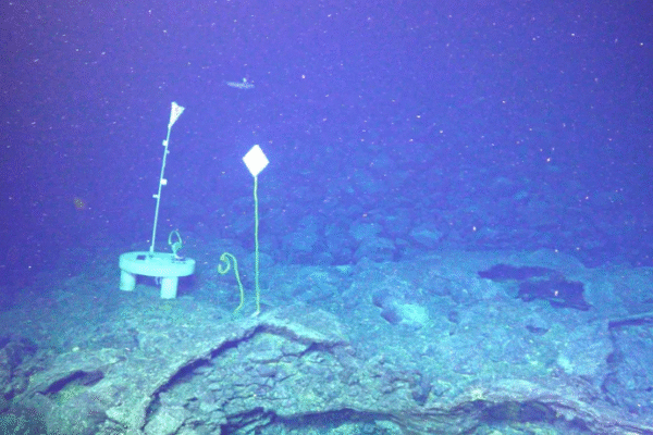 Axial Seamount Is About to Erupt – And What’s Happening Down There Is TERRIFYING!